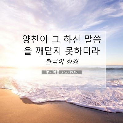 Picture 07 - 누가복음 2:50 KOR - 양친이 그 하신 말씀을 깨닫지 - Bible Verse Picture