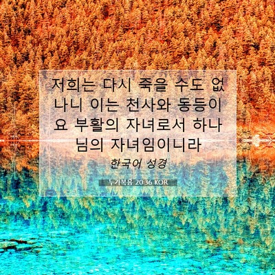 Picture 07 - 누가복음 20:36 KOR - 저희는 다시 죽을 수도 없나니 이는 - Bible Verse Picture