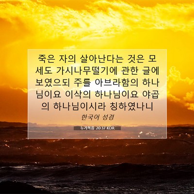 Picture 07 - 누가복음 20:37 KOR - 죽은 자의 살아난다는 것은 모세도 - Bible Verse Picture
