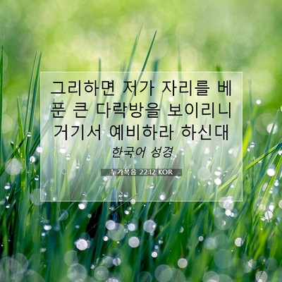 Picture 07 - 누가복음 22:12 KOR - 그리하면 저가 자리를 베푼 큰 - Bible Verse Picture