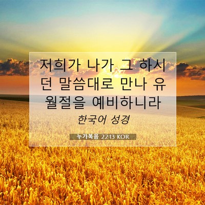 Picture 07 - 누가복음 22:13 KOR - 저희가 나가 그 하시던 말씀대로 - Bible Verse Picture