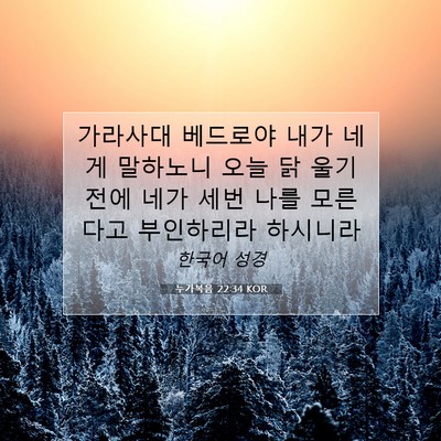 Picture 07 - 누가복음 22:34 KOR - 가라사대 베드로야 내가 네게 - Bible Verse Picture