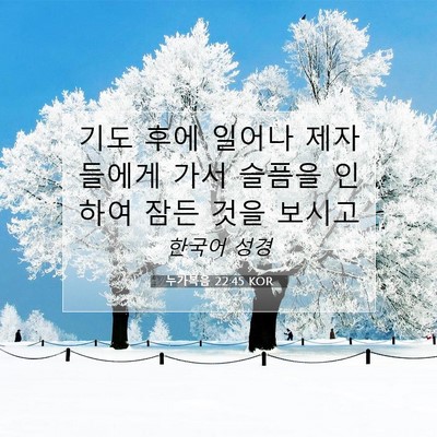 Picture 07 - 누가복음 22:45 KOR - 기도 후에 일어나 제자들에게 가서 - Bible Verse Picture