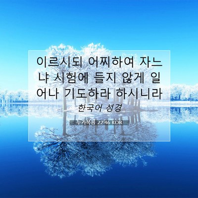 Picture 07 - 누가복음 22:46 KOR - 이르시되 어찌하여 자느냐 시험에 - Bible Verse Picture