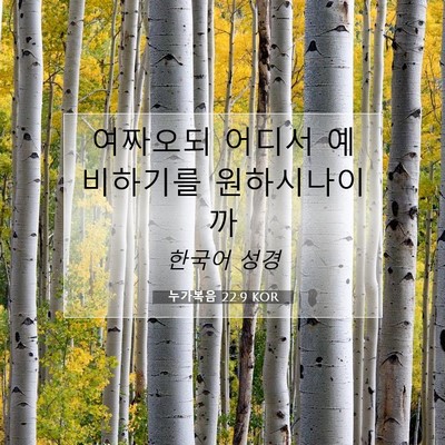 Picture 07 - 누가복음 22:9 KOR - 여짜오되 어디서 예비하기를 - Bible Verse Picture