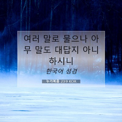 Picture 07 - 누가복음 23:9 KOR - 여러 말로 물으나 아무 말도 대답지 - Bible Verse Picture
