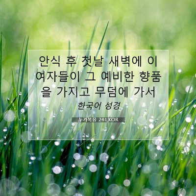 Picture 07 - 누가복음 24:1 KOR - 안식 후 첫날 새벽에 이 여자들이 그 - Bible Verse Picture