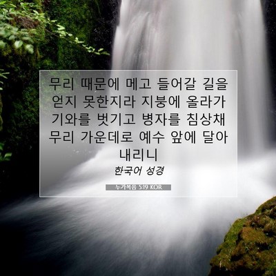 Picture 07 - 누가복음 5:19 KOR - 무리 때문에 메고 들어갈 길을 얻지 - Bible Verse Picture