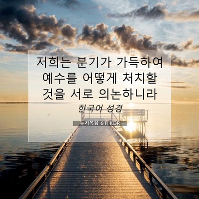 Picture 07 - 누가복음 6:11 KOR - 저희는 분기가 가득하여 예수를 - Bible Verse Picture