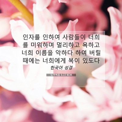 Picture 07 - 누가복음 6:22 KOR - 인자를 인하여 사람들이 너희를 - Bible Verse Picture