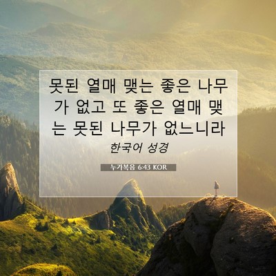 Picture 07 - 누가복음 6:43 KOR - 못된 열매 맺는 좋은 나무가 없고 또 - Bible Verse Picture