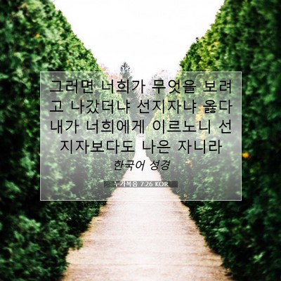 Picture 07 - 누가복음 7:26 KOR - 그러면 너희가 무엇을 보려고 - Bible Verse Picture