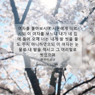 Picture 07 - 누가복음 7:44 KOR - 여자를 돌아보시며 시몬에게 - Bible Verse Picture