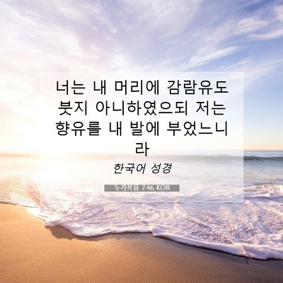 Picture 07 - 누가복음 7:46 KOR - 너는 내 머리에 감람유도 붓지 - Bible Verse Picture