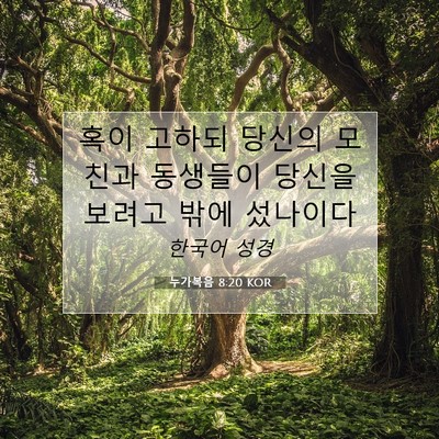 Picture 07 - 누가복음 8:20 KOR - 혹이 고하되 당신의 모친과 동생들이 - Bible Verse Picture