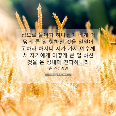 Picture 07 - 누가복음 8:39 KOR - 집으로 돌아가 하나님이 네게 어떻게 - Bible Verse Picture