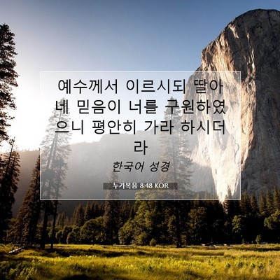 Picture 07 - 누가복음 8:48 KOR - 예수께서 이르시되 딸아 네 믿음이 - Bible Verse Picture