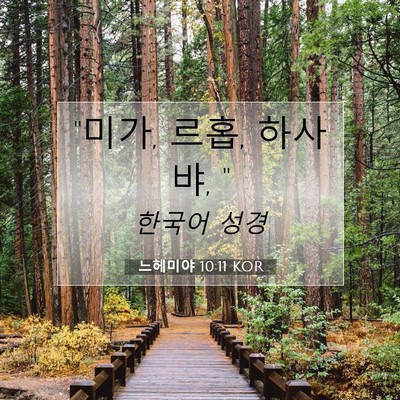 Picture 07 - 느헤미야 10:11 KOR - 