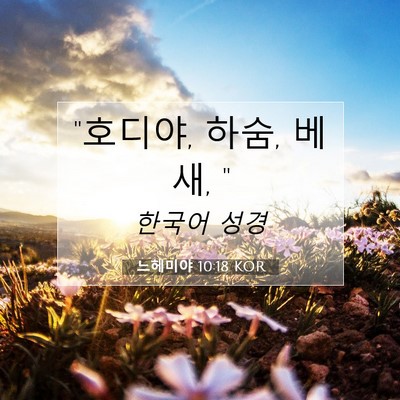Picture 07 - 느헤미야 10:18 KOR - 