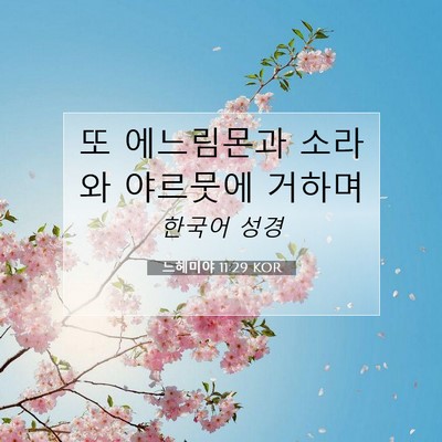Picture 07 - 느헤미야 11:29 KOR - 또 에느림몬과 소라와 야르뭇에 - Bible Verse Picture