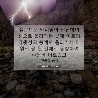 Picture 07 - 느헤미야 12:37 KOR - 샘문으로 말미암아 전진하여 성으로 - Bible Verse Picture