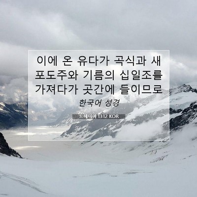 Picture 07 - 느헤미야 13:12 KOR - 이에 온 유다가 곡식과 새 포도주와 - Bible Verse Picture