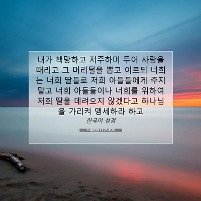 Picture 07 - 느헤미야 13:25 KOR - 내가 책망하고 저주하며 두어 사람을 - Bible Verse Picture