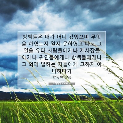 Picture 07 - 느헤미야 2:16 KOR - 방백들은 내가 어디 갔었으며 무엇을 - Bible Verse Picture