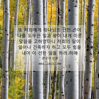Picture 07 - 느헤미야 2:18 KOR - 또 저희에게 하나님의 선한 손이 - Bible Verse Picture