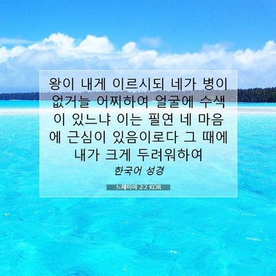 Picture 07 - 느헤미야 2:2 KOR - 왕이 내게 이르시되 네가 병이 - Bible Verse Picture