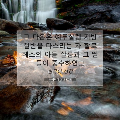Picture 07 - 느헤미야 3:12 KOR - 그 다음은 예루살렘 지방 절반을 - Bible Verse Picture