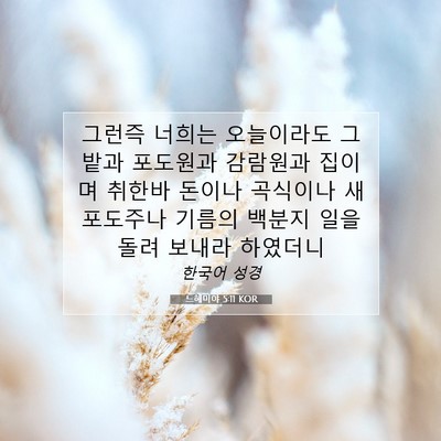 Picture 07 - 느헤미야 5:11 KOR - 그런즉 너희는 오늘이라도 그 밭과 - Bible Verse Picture