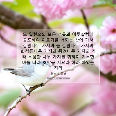 Picture 07 - 느헤미야 8:15 KOR - 또 일렀으되 모든 성읍과 예루살렘에 - Bible Verse Picture