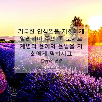 Picture 07 - 느헤미야 9:14 KOR - 거룩한 안식일을 저희에게 알리시며 - Bible Verse Picture
