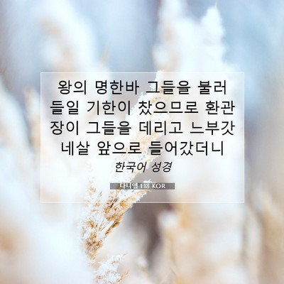 Picture 07 - 다니엘 1:18 KOR - 왕의 명한바 그들을 불러 들일 - Bible Verse Picture