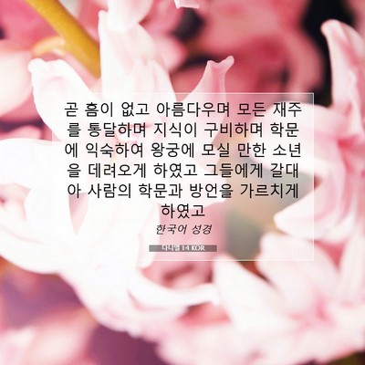 Picture 07 - 다니엘 1:4 KOR - 곧 흠이 없고 아름다우며 모든 - Bible Verse Picture