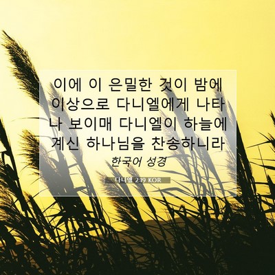 Picture 07 - 다니엘 2:19 KOR - 이에 이 은밀한 것이 밤에 이상으로 - Bible Verse Picture