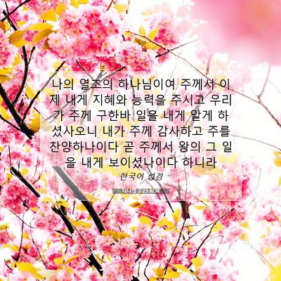 Picture 07 - 다니엘 2:23 KOR - 나의 열조의 하나님이여 주께서 이제 - Bible Verse Picture