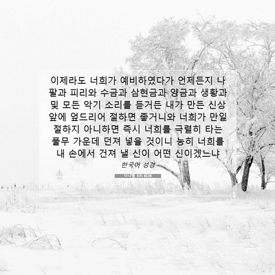 Picture 07 - 다니엘 3:15 KOR - 이제라도 너희가 예비하였다가 - Bible Verse Picture
