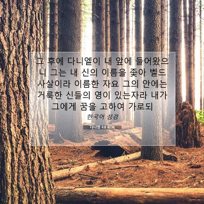 Picture 07 - 다니엘 4:8 KOR - 그 후에 다니엘이 내 앞에 - Bible Verse Picture