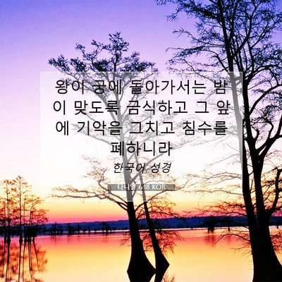 Picture 07 - 다니엘 6:18 KOR - 왕이 궁에 돌아가서는 밤이 맞도록 - Bible Verse Picture