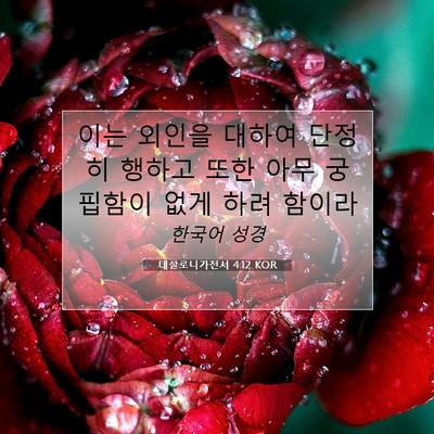 Picture 07 - 데살로니가전서 4:12 KOR - 이는 외인을 대하여 단정히 행하고 - Bible Verse Picture