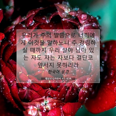 Picture 07 - 데살로니가전서 4:15 KOR - 우리가 주의 말씀으로 너희에게 - Bible Verse Picture