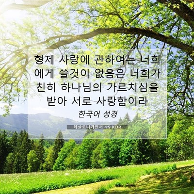 Picture 07 - 데살로니가전서 4:9 KOR - 형제 사랑에 관하여는 너희에게 - Bible Verse Picture