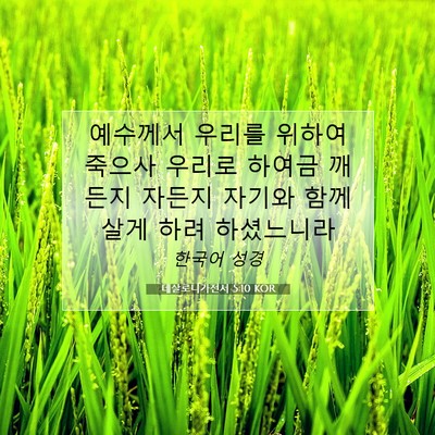 Picture 07 - 데살로니가전서 5:10 KOR - 예수께서 우리를 위하여 죽으사 - Bible Verse Picture