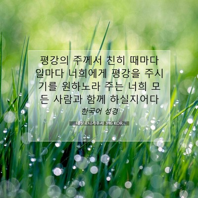 Picture 07 - 데살로니가후서 3:16 KOR - 평강의 주께서 친히 때마다 일마다 - Bible Verse Picture
