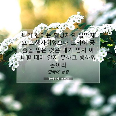 Picture 07 - 디모데전서 1:13 KOR - 내가 전에는 훼방자요 핍박자요 - Bible Verse Picture