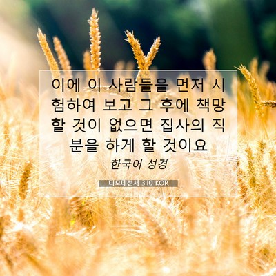 Picture 07 - 디모데전서 3:10 KOR - 이에 이 사람들을 먼저 시험하여 - Bible Verse Picture