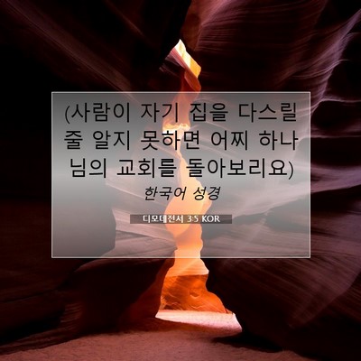 Picture 07 - 디모데전서 3:5 KOR - (사람이 자기 집을 다스릴줄 알지 - Bible Verse Picture