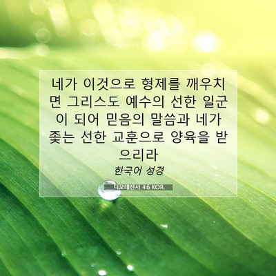 Picture 07 - 디모데전서 4:6 KOR - 네가 이것으로 형제를 깨우치면 - Bible Verse Picture